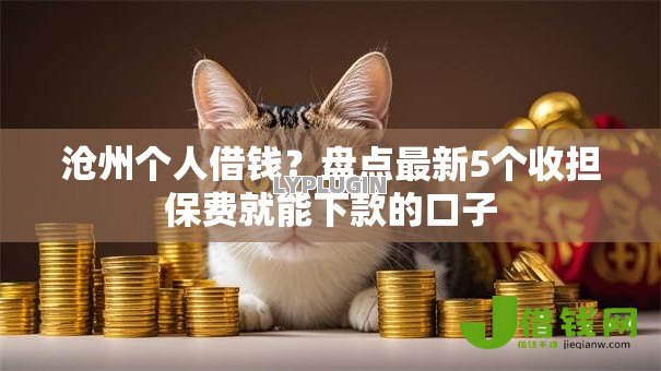 沧州个人借钱？盘点最新5个收担保费就能下款的口子