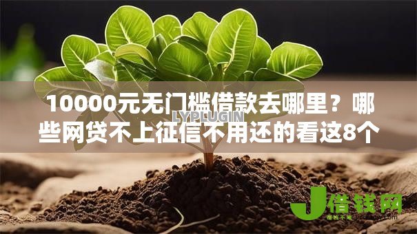 10000元无门槛借款去哪里？哪些网贷不上征信不用还的看这8个平台