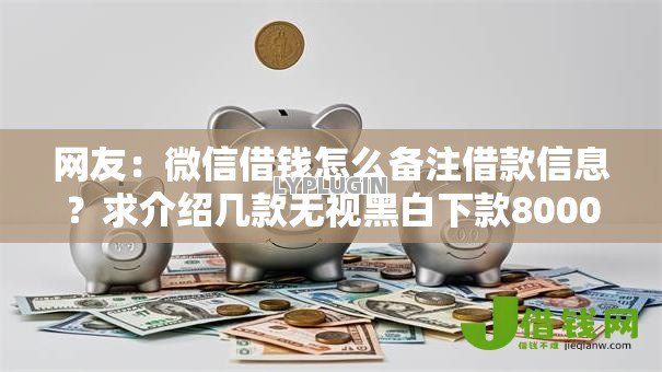 网友：微信借钱怎么备注借款信息？求介绍几款无视黑白下款8000左右的口子
