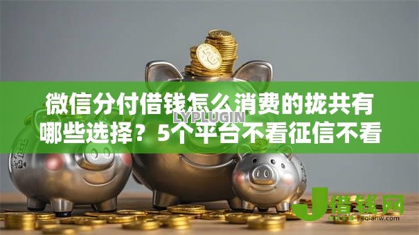 微信分付借钱怎么消费的拢共有哪些选择?5个平台不看征信不看负债可以贷到钱详解 微信分付借钱怎么消费的拢共有哪些选择?5个平台不看征信不看负债可以贷到钱详解