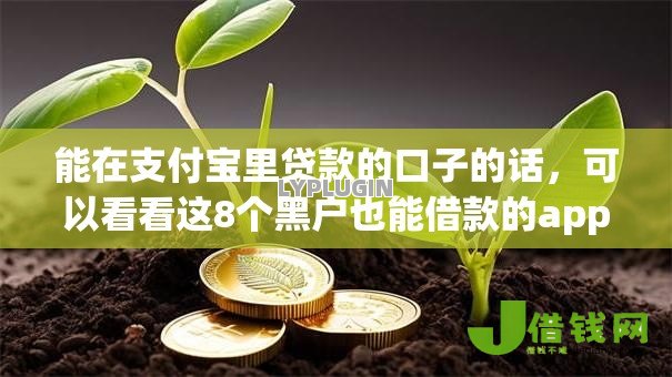 能在支付宝里贷款的口子的话，可以看看这8个黑户也能借款的app