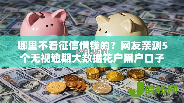 哪里不看征信借钱的？网友亲测5个无视逾期大数据花户黑户口子盘点