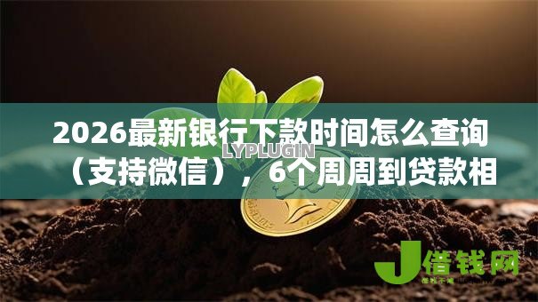 2026最新银行下款时间怎么查询(支持微信),6个周周到贷款相同系列的app无私分享 2026最新银行下款时间怎么查询(支持微信),6个周周到贷款相同系列的app无私分享