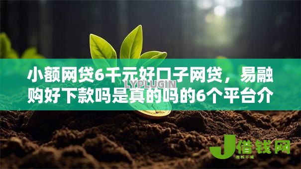 小额网贷6千元好口子网贷,易融购好下款吗是真的吗的6个平台介绍 小额网贷6千元好口子网贷,易融购好下款吗是真的吗的6个平台介绍