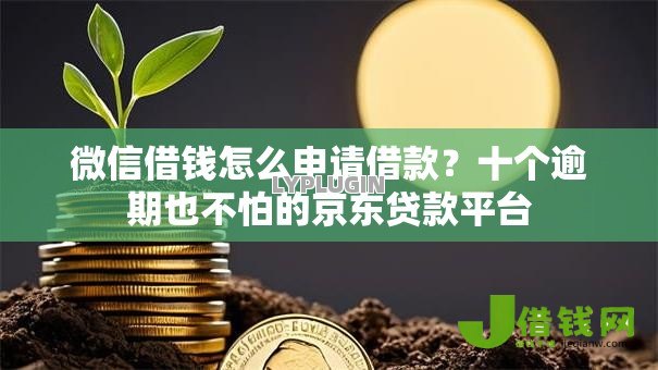 微信借钱怎么申请借款？十个逾期也不怕的京东贷款平台