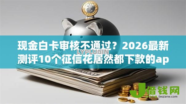 现金白卡审核不通过?2026最新测评10个征信花居然都下款的app 现金白卡审核不通过?2026最新测评10个征信花居然都下款的app