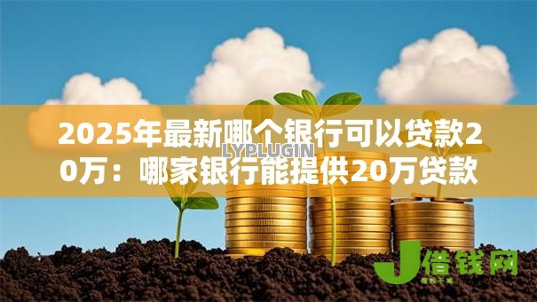 2025年最新哪个银行可以贷款20万:哪家银行能提供20万贷款 2025年最新哪个银行可以贷款20万:哪家银行能提供20万贷款