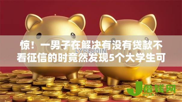惊！一男子在解决有没有贷款不看征信的时竟然发现5个大学生可以使用的口子，事后分享了出来