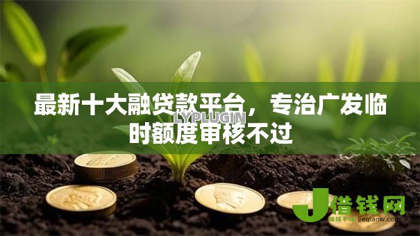 最新十大融贷款平台，专治广发临时额度审核不过
