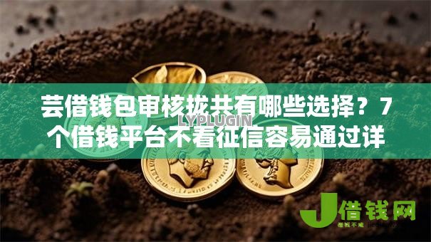 芸借钱包审核拢共有哪些选择？7个借钱平台不看征信容易通过详解