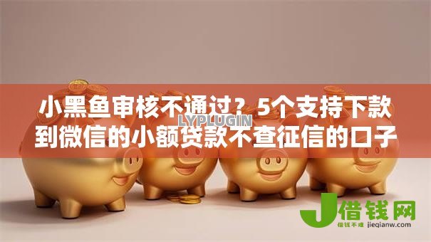 小黑鱼审核不通过？5个支持下款到微信的小额贷款不查征信的口子