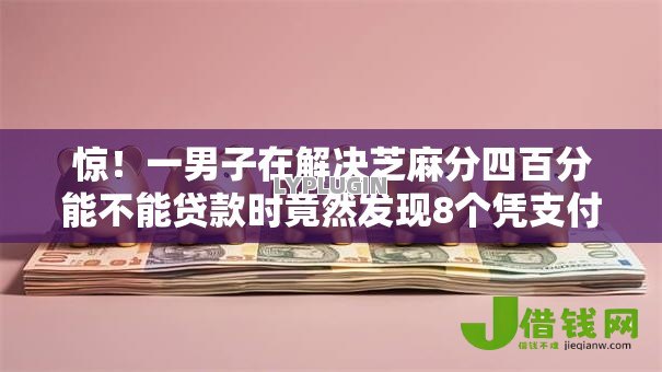 惊！一男子在解决芝麻分四百分能不能贷款时竟然发现8个凭支付宝花呗贷款的平台，事后分享了出来