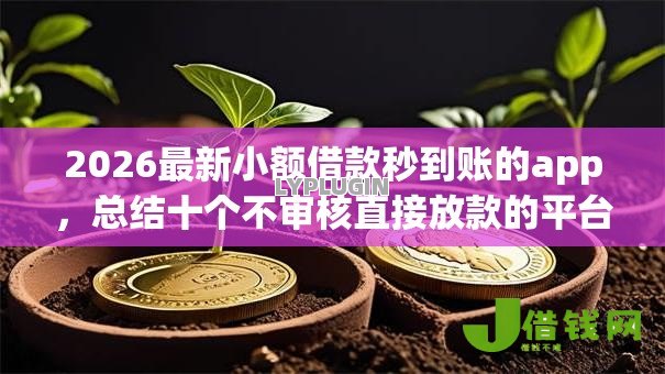 2026最新小额借款秒到账的app，总结十个不审核直接放款的平台！
