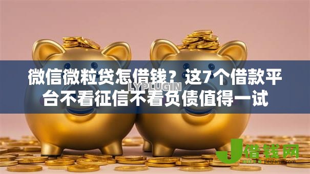 微信微粒贷怎借钱？这7个借款平台不看征信不看负债值得一试