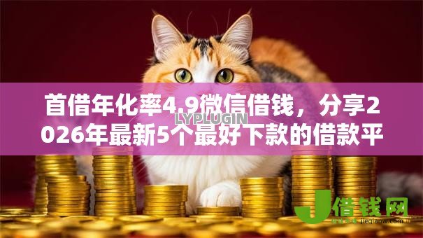 首借年化率4.9微信借钱,分享2026年最新5个最好下款的借款平台 首借年化率4.9微信借钱,分享2026年最新5个最好下款的借款平台