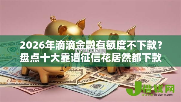 2026年滴滴金融有额度不下款？盘点十大靠谱征信花居然都下款的口子