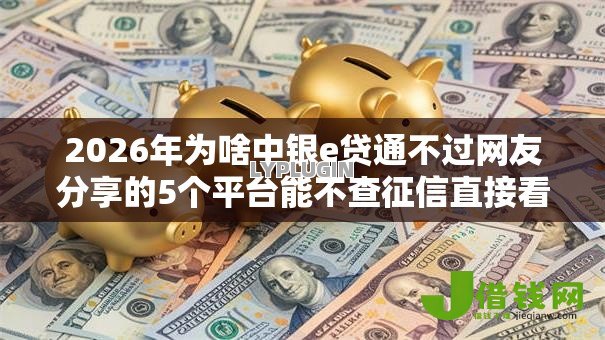 2026年为啥中银e贷通不过网友分享的5个平台能不查征信直接看出来借款额度我觉得不错！