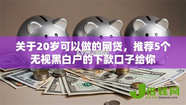 关于20岁可以做的网贷，推荐5个无视黑白户的下款口子给你
