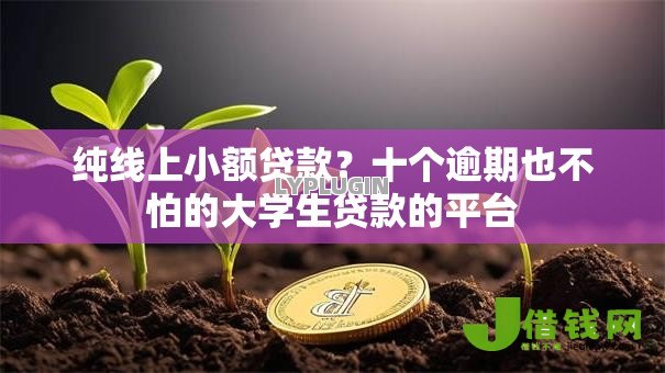 纯线上小额贷款?十个逾期也不怕的大学生贷款的平台 纯线上小额贷款?十个逾期也不怕的大学生贷款的平台