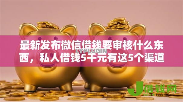 最新发布微信借钱要审核什么东西，私人借钱5千元有这5个渠道