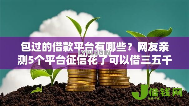 包过的借款平台有哪些？网友亲测5个平台征信花了可以借三五千块钱盘点