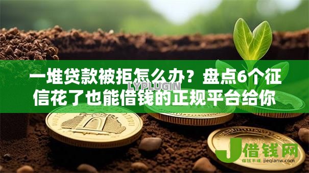一堆贷款被拒怎么办？盘点6个征信花了也能借钱的正规平台给你参考