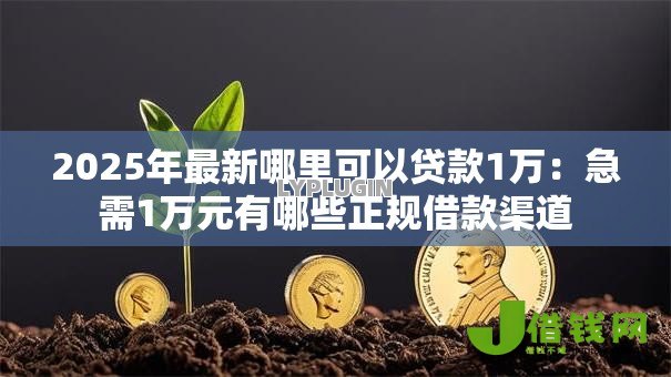 2025年最新哪里可以贷款1万：急需1万元有哪些正规借款渠道