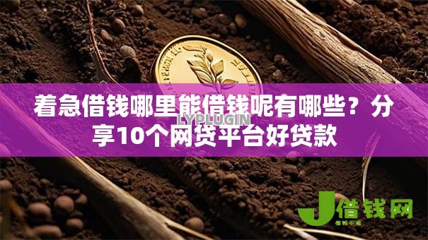 着急借钱哪里能借钱呢有哪些？分享10个网贷平台好贷款