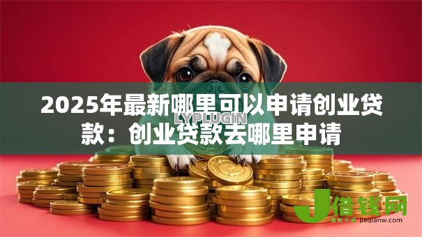 2025年最新哪里可以申请创业贷款：创业贷款去哪里申请