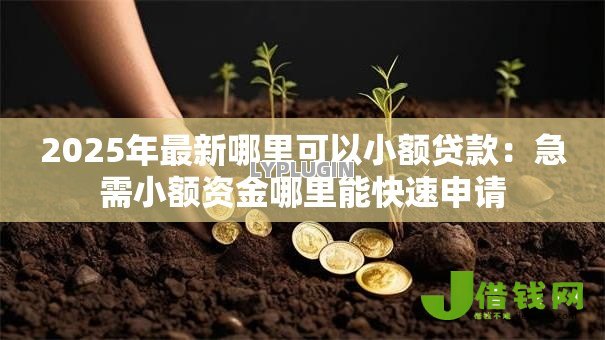 2025年最新哪里可以小额贷款：急需小额资金哪里能快速申请