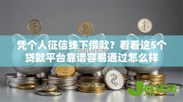 凭个人征信线下借款?看看这5个贷款平台靠谱容易通过怎么样 凭个人征信线下借款?看看这5个贷款平台靠谱容易通过怎么样
