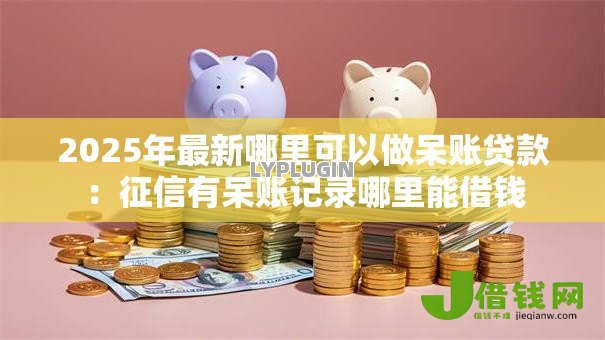 2025年最新哪里可以做呆账贷款:征信有呆账记录哪里能借钱 2025年最新哪里可以做呆账贷款:征信有呆账记录哪里能借钱
