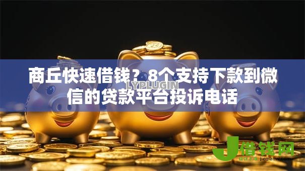 商丘快速借钱?8个支持下款到微信的贷款平台投诉电话 商丘快速借钱?8个支持下款到微信的贷款平台投诉电话
