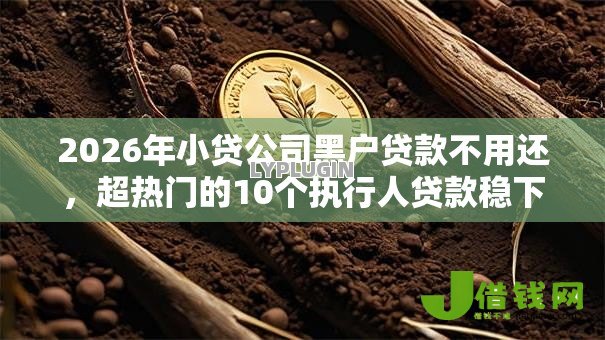 2026年小贷公司黑户贷款不用还,超热门的10个执行人贷款稳下的口子推荐 2026年小贷公司黑户贷款不用还,超热门的10个执行人贷款稳下的口子推荐