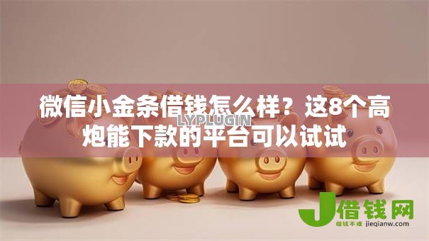 微信小金条借钱怎么样?这8个高炮能下款的平台可以试试 微信小金条借钱怎么样?这8个高炮能下款的平台可以试试