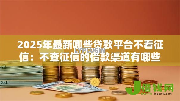 2025年最新哪些贷款平台不看征信：不查征信的借款渠道有哪些
