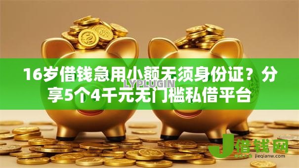16岁借钱急用小额无须身份证？分享5个4千元无门槛私借平台