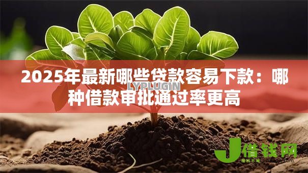 2025年最新哪些贷款容易下款:哪种借款审批通过率更高 2025年最新哪些贷款容易下款:哪种借款审批通过率更高