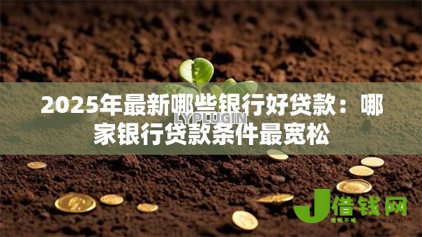 2025年最新哪些银行好贷款：哪家银行贷款条件最宽松