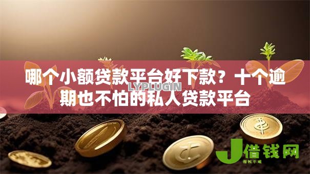 哪个小额贷款平台好下款？十个逾期也不怕的私人贷款平台