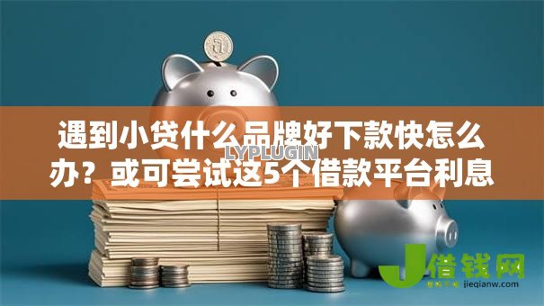 遇到小贷什么品牌好下款快怎么办？或可尝试这5个借款平台利息最低最正规放款最快
