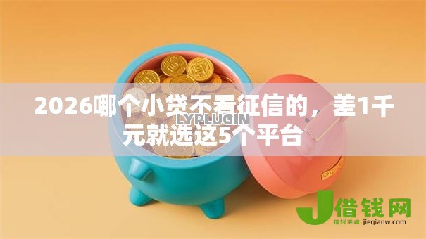 2026哪个小贷不看征信的,差1千元就选这5个平台 2026哪个小贷不看征信的,差1千元就选这5个平台