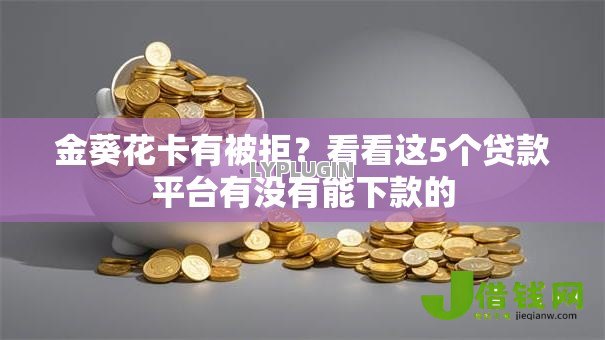 金葵花卡有被拒？看看这5个贷款平台有没有能下款的