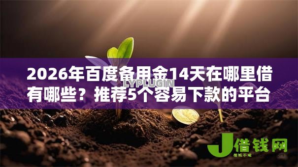 2026年百度备用金14天在哪里借有哪些？推荐5个容易下款的平台