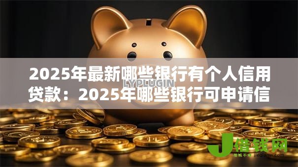 2025年最新哪些银行有个人信用贷款：2025年哪些银行可申请信用贷