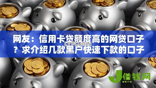 网友：信用卡贷额度高的网贷口子？求介绍几款黑户快速下款的口子