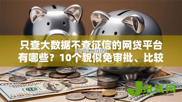 只查大数据不查征信的网贷平台有哪些?10个貌似免审批、比较好贷款的平台合集 只查大数据不查征信的网贷平台有哪些?10个貌似免审批、比较好贷款的平台合集