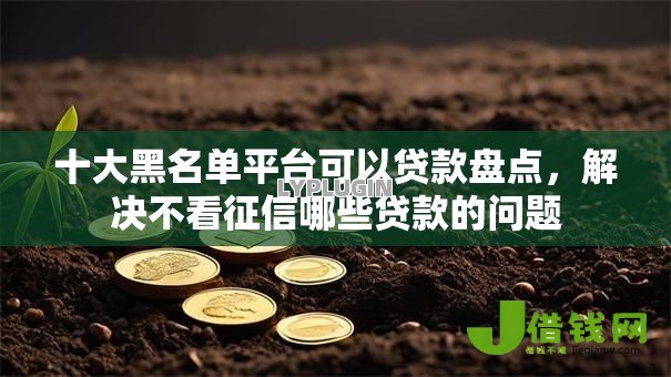 十大黑名单平台可以贷款盘点，解决不看征信哪些贷款的问题