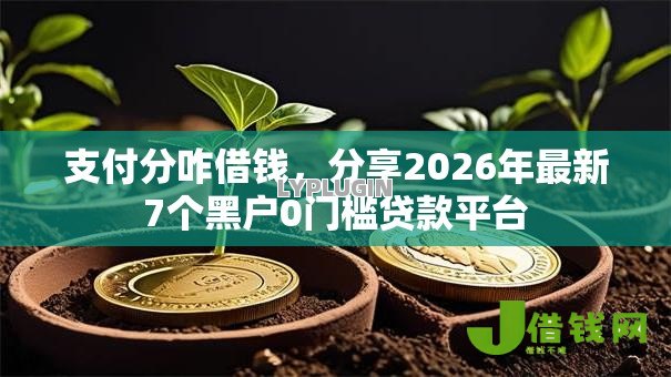 支付分咋借钱，分享2026年最新7个黑户0门槛贷款平台