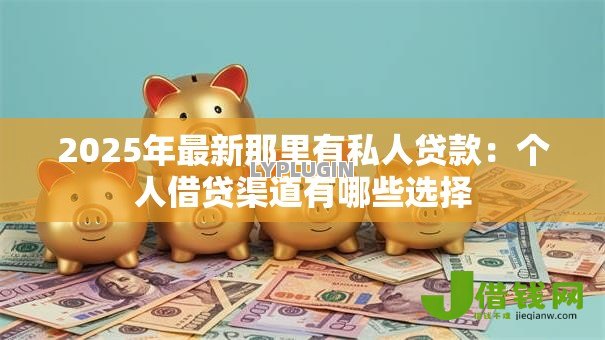 2025年最新那里有私人贷款:个人借贷渠道有哪些选择 2025年最新那里有私人贷款:个人借贷渠道有哪些选择
